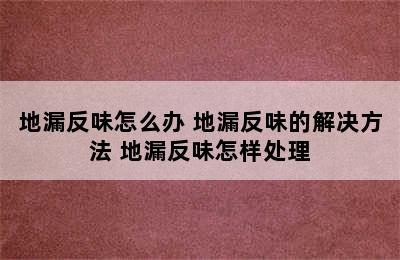 地漏反味怎么办 地漏反味的解决方法 地漏反味怎样处理